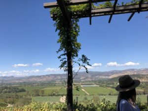Welcome to Domaine Trimble!